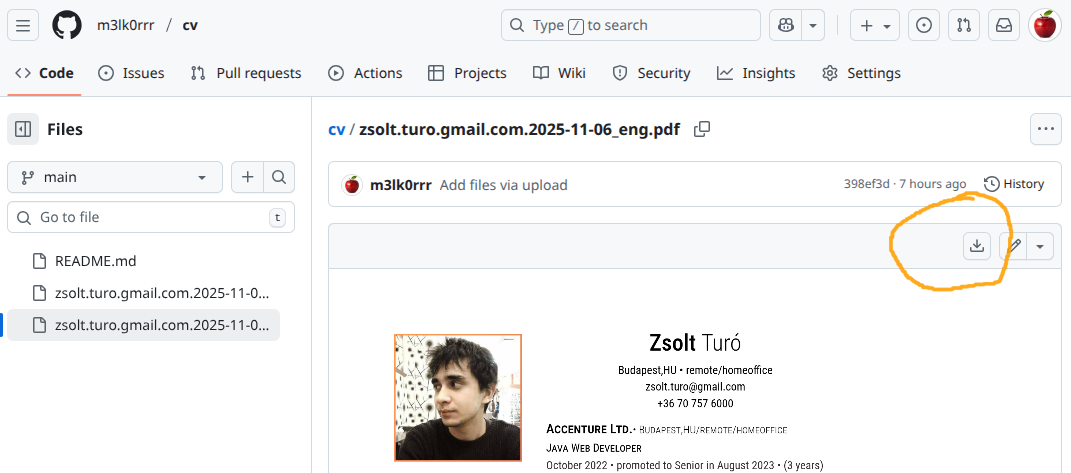 How to download a file from github